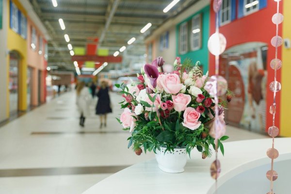 Аренда мест на рынке в ТЦ "Сеница" - фото 12