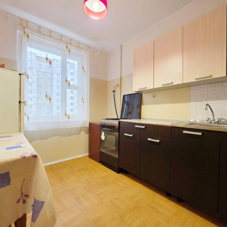 Фотография 1-комнатная квартира по адресу Лещинского ул., д. 25 - фото 1