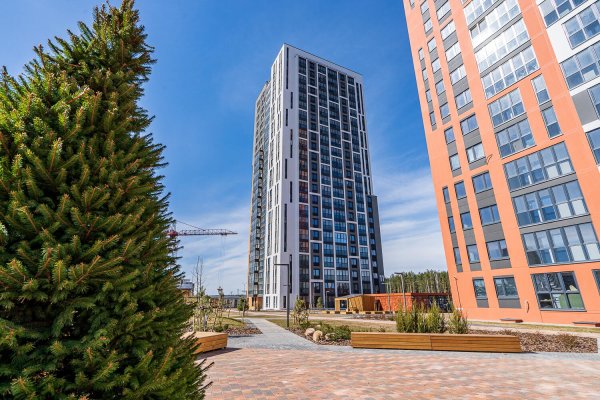 1-комнатная квартира по адресу Николая Камова ул., д. 11 - фото 1