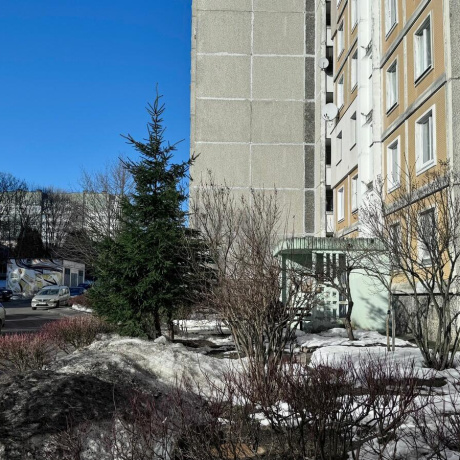 Фотография 2-комнатная квартира по адресу Белецкого ул., д. 14 к. 1 - фото 1