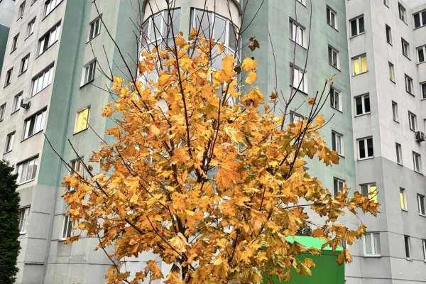 3-комнатная квартира по адресу Щорса ул., д. 3 - фото 1