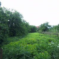 Фотография Продается дом д. Новашино, Центральная ул. - фото 5