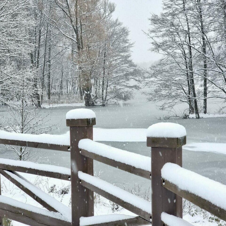 Фотография 1-комнатная квартира по адресу Амураторская ул., д. 2 - фото 17