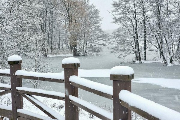 1-комнатная квартира по адресу Амураторская ул., д. 2 - фото 17