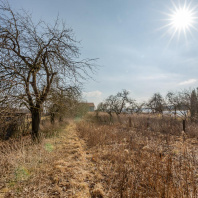 Фотография Продается дом д. Новашино, Центральная ул. - фото 16