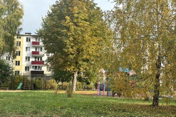 2-комнатная квартира по адресу Чкалова ул., д. 17 - фото 17