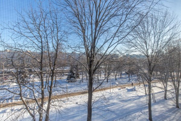 1-комнатная квартира по адресу Рокоссовского просп., д. 84 - фото 5