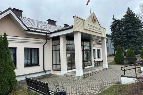 Продается участок аг. Щомыслица, Жуковского ул. - фото 8