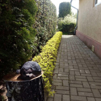 Фотография Продается дача с/т. Вежа-89 - фото 2