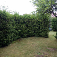 Фотография Продается дача с/т. Вежа-89 - фото 4