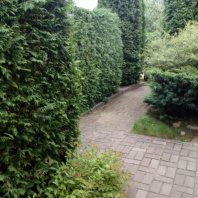 Фотография Продается дача с/т. Вежа-89 - фото 3