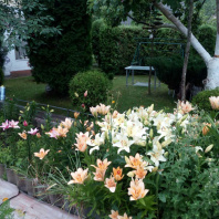 Фотография Продается дача с/т. Вежа-89 - фото 16