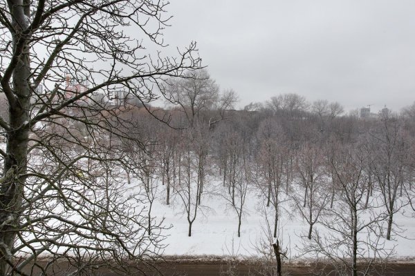 2-комнатная квартира по адресу Клумова пер., д. 5 - фото 19