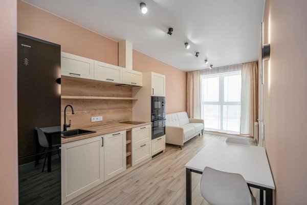 2-комнатная квартира по адресу Жореса Алфёрова ул., д. 13 - фото 4