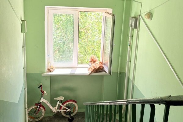 1-комнатная квартира по адресу Орловская ул., д. 11 - фото 8