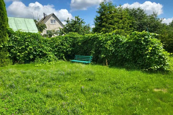 Продается дом с/т. Союз-2 - фото 5