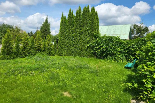 Продается дом с/т. Союз-2 - фото 15