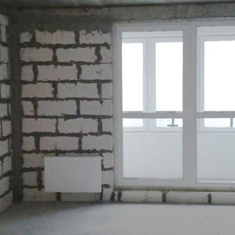 Фотография 1-комнатная квартира по адресу Жореса Алфёрова ул., д. 8 - фото 4