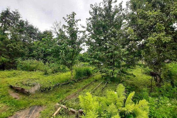 Продается дача с/т. Птичь-2 - фото 3