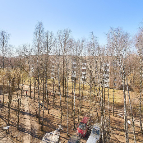 Фотография 2-комнатная квартира по адресу Пушкина просп., д. 21 - фото 14