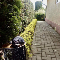 Фотография Продается дача с/т. Вежа-89 - фото 6