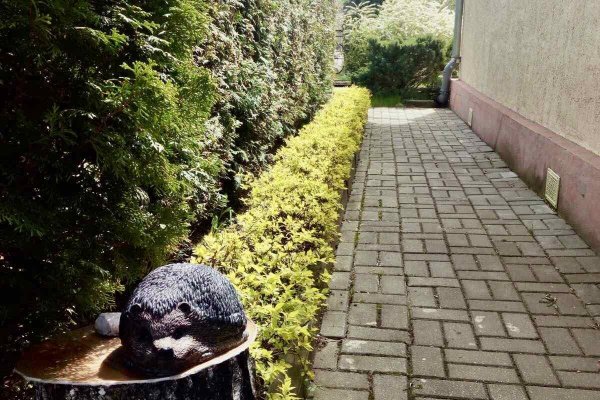 Продается дача с/т. Вежа-89 - фото 6