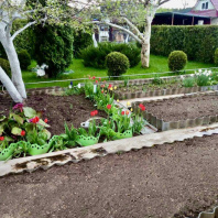 Фотография Продается дача с/т. Вежа-89 - фото 10