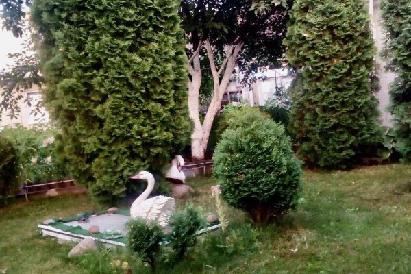 Продается дача с/т. Вежа-89 - фото 7