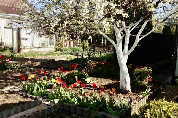 Продается дача с/т. Вежа-89 - фото 9