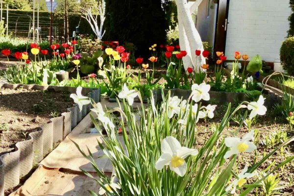 Продается дача с/т. Вежа-89 - фото 8