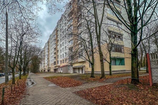 3-комнатная квартира по адресу Белинского ул., д. 9 - фото 20