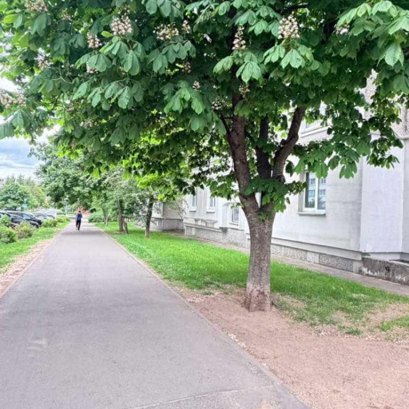 Фотография 2-комнатная квартира по адресу Острошицкая ул., д. 17 - фото 14