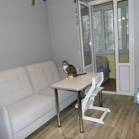 Фотография 1-комнатная квартира по адресу Плеханова ул., д. 37 - фото 5