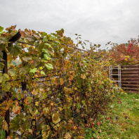 Фотография Продается дом с/т. Дубки - фото 2