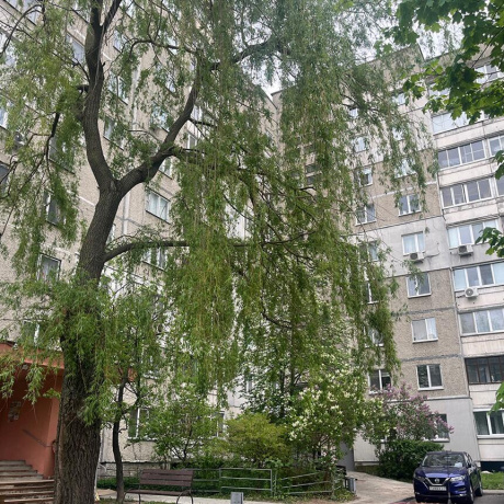 Фотография 2-комнатная квартира по адресу Некрасова ул., д. 33 - фото 14