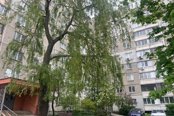 2-комнатная квартира по адресу Некрасова ул., д. 33 - фото 14