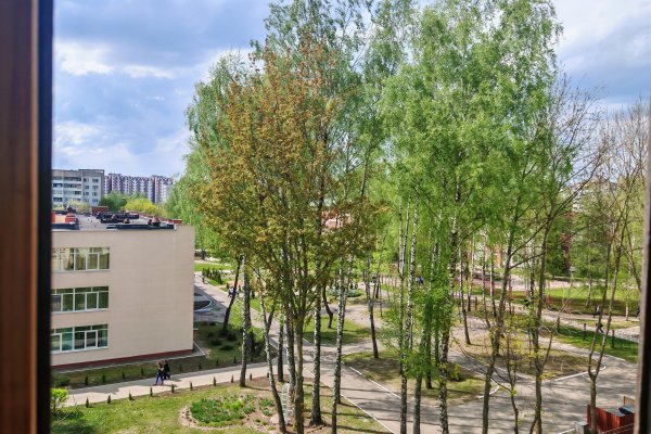 1-комнатная квартира по адресу Правда газеты просп., д. 54 - фото 7