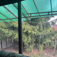 Фотография Продается дом аг. Семково, Высокая 2-ая ул., д. 3 - фото 16