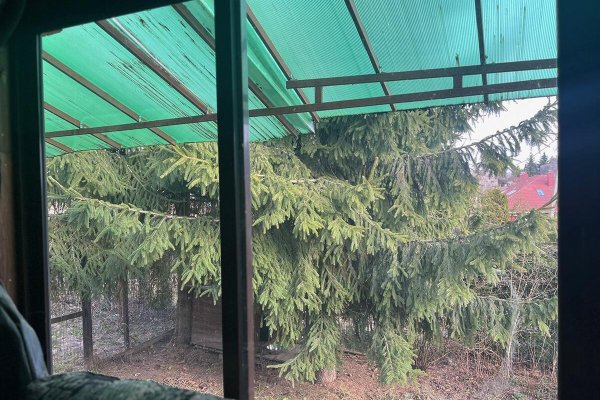 Продается дом аг. Семково, Высокая 2-ая ул., д. 3 - фото 16