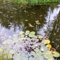 Фотография Продается дом с/т. Родник-2009 - фото 14