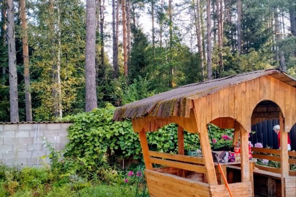 Продается дом с/т. Родник-2009 - фото 8