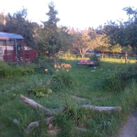 Фотография Продается коттедж д. Смольница, Ганнина Горка ул. - фото 9