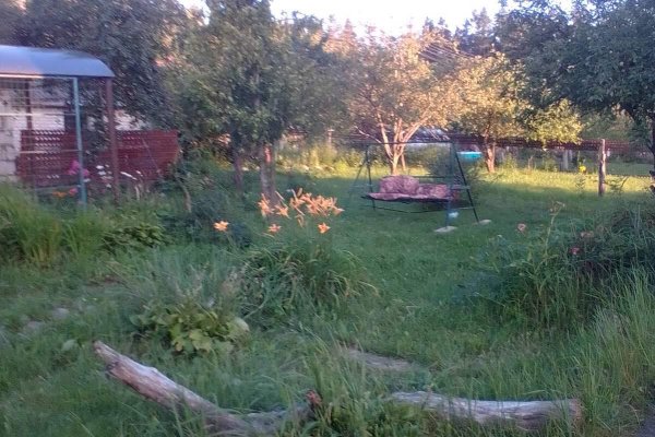 Продается коттедж д. Смольница, Ганнина Горка ул. - фото 9