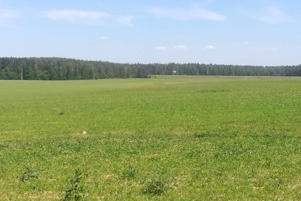 Продается коттедж д. Смольница, Ганнина Горка ул. - фото 2