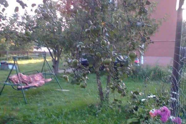 Продается коттедж д. Смольница, Ганнина Горка ул. - фото 10