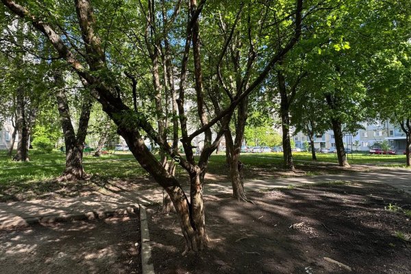 2-комнатная квартира по адресу Звязда газеты просп., д. 14 к. 1 - фото 20