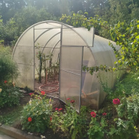 Фотография Продается дача с/т. Сосны-Сад - фото 11