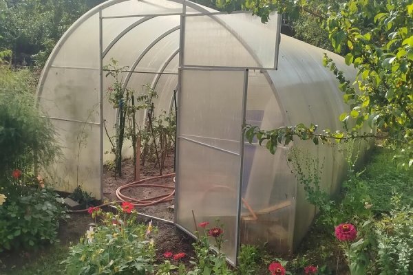 Продается дача с/т. Сосны-Сад - фото 11