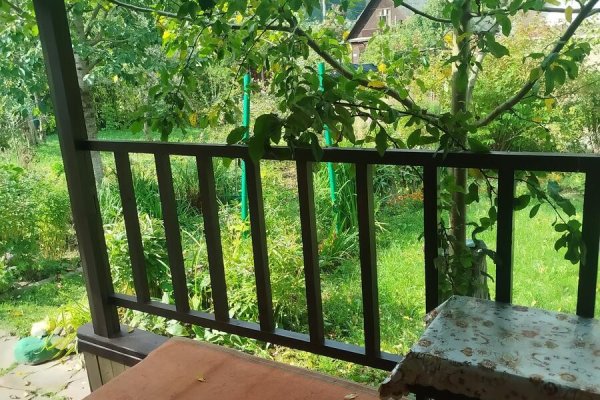 Продается дача с/т. Сосны-Сад - фото 7