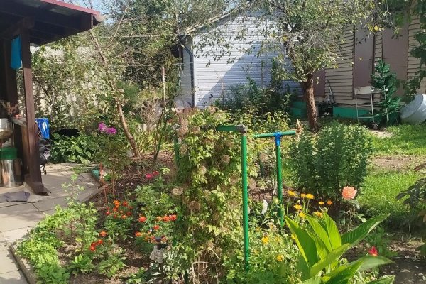 Продается дача с/т. Сосны-Сад - фото 8